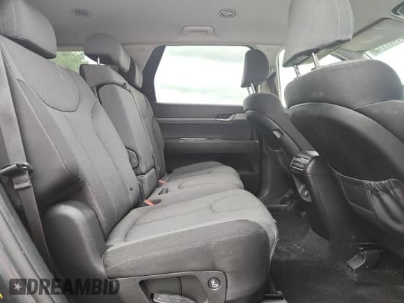 2020 Hyundai Palisade SE with VIN KM8R14HEXLU054118, listed as a Copart auction lot 81477115 with 114,785 mi miles and Salvage title. Bid and sale history available at DreamBid. Image 11.