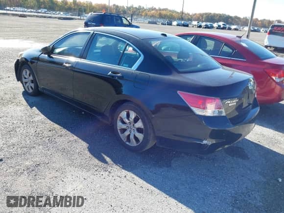 2010 Honda Accord EX-L with VIN 1HGCP2F85AA169204, listed as a IAAI auction lot 43419281 with Not provided miles and . Bid and sale history available at DreamBid. Image 3.