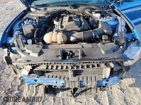 2019 Ford Mustang EcoBoost с VIN 1FATP8UHXK5121136, выставлен на аукционе Copart как лот 66923695 с пробегом 68 026 миль миль и На запчасти • Non repairable. История ставок и продаж доступна на DreamBid. Изображение 11.