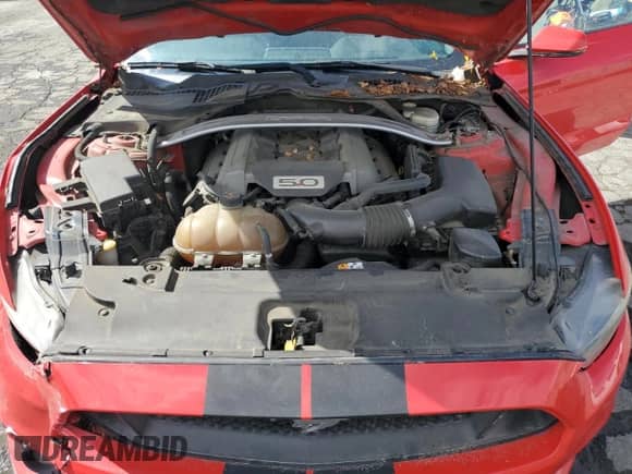 2015 Ford Mustang GT Premium with VIN 1FATP8FF0F5352239, listed as a Copart auction lot 85199415 with 193,730 mi miles and Salvage title. Bid and sale history available at DreamBid. Image 11.
