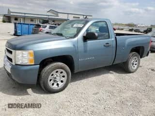 2009 Chevrolet Silverado 1500 Work Truck with VIN 1GCEC14X99Z166164, listed as a Copart auction lot 52852255 with 194,568 mi miles and Salvage title. Bid and sale history available at DreamBid. Image 1.