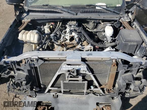 2005 Chevrolet Silverado 1500 LS with VIN 2GCEC19T051323203, listed as a Copart auction lot 85077185 with Not provided miles and Clean title. Bid and sale history available at DreamBid. Image 11.
