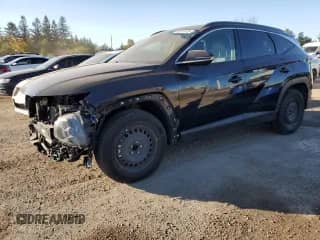 2022 Hyundai Tucson Luxury with VIN KM8JCCA10NU056603, listed as a Copart auction lot 83811325 with 97,512 mi miles and Salvage title. Bid and sale history available at DreamBid. Image 1.