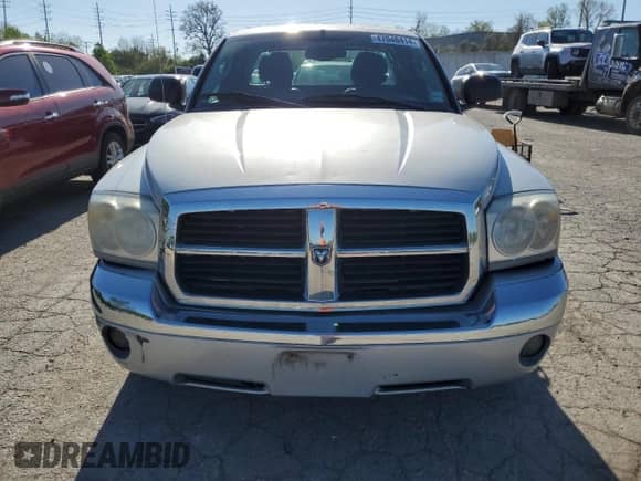 2005 Dodge Dakota with VIN 1D7HW52J35S322198, listed as a Copart auction lot 47046414 with 122,879 mi miles and Salvage title. Bid and sale history available at DreamBid. Image 5.