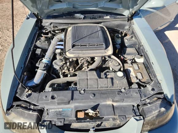 2003 Ford Mustang GT Deluxe с VIN 1FAFP42X03F445532, выставлен на аукционе Copart как лот 87037225 с пробегом 111 256 миль миль и Списание • Salvage title. История ставок и продаж доступна на DreamBid. Изображение 11.