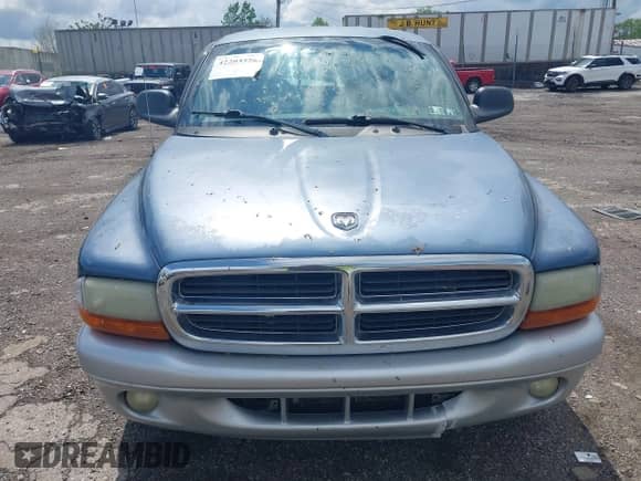 2002 Dodge Dakota SLT with VIN 1B7HL48XX2S668382, listed as a IAAI auction lot 42203326 with Not provided miles and . Bid and sale history available at DreamBid. Image 12.