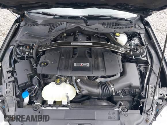 2022 Ford Mustang GT with VIN 1FA6P8CF4N5144803, listed as a IAAI auction lot 42818749 with 22,945 mi miles and . Bid and sale history available at DreamBid. Image 10.