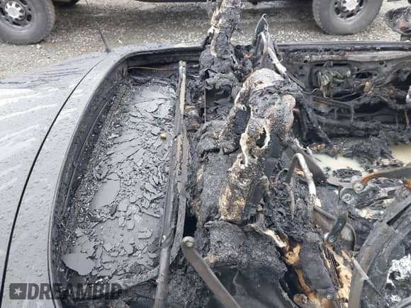 2008 BMW Z4 3.0i with VIN 4USBU33598LW61083, listed as a IAAI auction lot 41631487 with Not provided miles and . Bid and sale history available at DreamBid. Image 8.