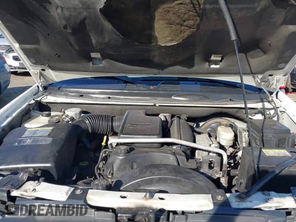 2005 Chevrolet TrailBlazer LS с VIN 1GNDT13S252301027, выставлен на аукционе IAAI как лот 43154248 с пробегом 176 012 миль миль и . История ставок и продаж доступна на DreamBid. Изображение 10.