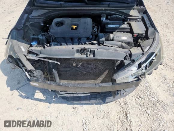 2019 Hyundai Elantra Limited with VIN 5NPD84LF9KH415728, listed as a Copart auction lot 80847025 with 130,569 mi miles and Salvage title. Bid and sale history available at DreamBid. Image 11.