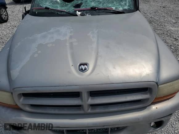 1998 Dodge Durango with VIN 1B4HS28Y5WF229733, listed as a Copart auction lot 54232445 with Not provided miles and Salvage title. Bid and sale history available at DreamBid. Image 12.