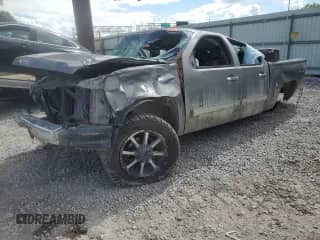 2013 Chevrolet Silverado 1500 LT with VIN 3GCPKSEA0DG176666, listed as a Copart auction lot 60486075 with Not provided miles and Salvage title. Bid and sale history available at DreamBid. Image 1.