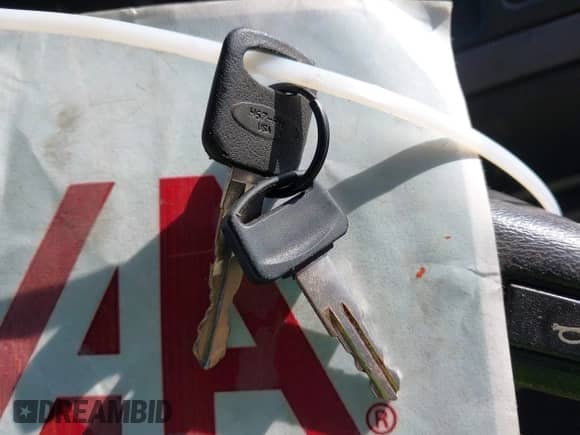 1994 Ford F-150 z VIN 1FTDF15Y2RNA94404, wystawiony jako IAAI lot #43276600 z przebiegiem 220 912 mil mil oraz . Historia ofert i sprzedaży dostępna na DreamBid. Obrazek 11.