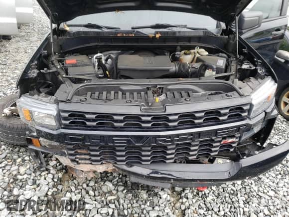 2019 Chevrolet Silverado 1500 Custom Trail Boss with VIN 1GCRYCEF8KZ177120, listed as a Copart auction lot 57875205 with 61,096 mi miles and Salvage title. Bid and sale history available at DreamBid. Image 11.