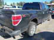 2013 Ford F-150 XL с VIN 1FTFW1ET5DFA82005, выставлен на аукционе IAAI как лот 43443212 с пробегом 156 295 миль миль и . История ставок и продаж доступна на DreamBid. Изображение 4.