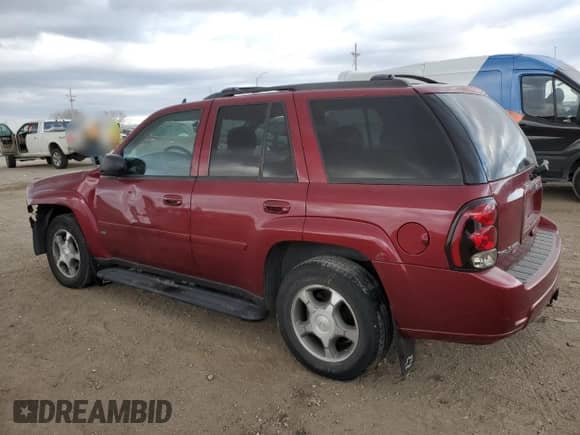 2009 Chevrolet TrailBlazer 1LT с VIN 1GNDT33S392128247, выставлен на аукционе Copart как лот 84531954 с пробегом 170 850 миль миль и Списание • Salvage title. История ставок и продаж доступна на DreamBid. Изображение 2.