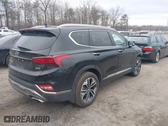 2020 Hyundai Santa Fe Limited with VIN 5NMS53AA5LH250051, listed as a IAAI auction lot 41431673 with 55,530 mi miles and . Bid and sale history available at DreamBid. Image 4.