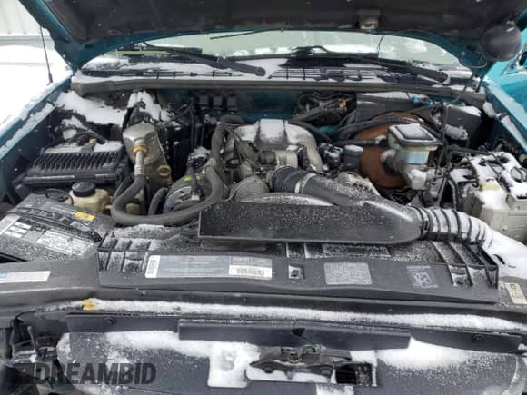 1995 Chevrolet Blazer z VIN 1GNDT13W0S2208862, wystawiony jako Copart lot #44642365 z przebiegiem 111 500 mil mil oraz Szkoda całkowita • Salvage title. Historia ofert i sprzedaży dostępna na DreamBid. Obrazek 12.