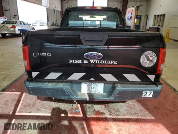 2017 Ford F-150 XL with VIN 1FTFW1EG4HFA88449, listed as a Copart auction lot 82377905 with 195,200 mi miles and Clean title. Bid and sale history available at DreamBid. Image 6.