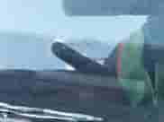 2010 Lexus IS 250 z VIN JTHCF5C21A5044551, wystawiony jako IAAI lot #43395056 z przebiegiem 163 712 mil mil oraz . Historia ofert i sprzedaży dostępna na DreamBid. Obrazek 9.