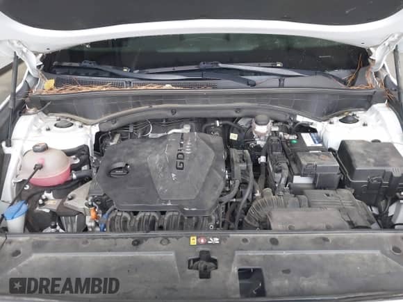 2021 Hyundai Santa Fe SE with VIN 5NMS1DAJ2MH352913, listed as a IAAI auction lot 43548098 with 93,758 mi miles and . Bid and sale history available at DreamBid. Image 10.