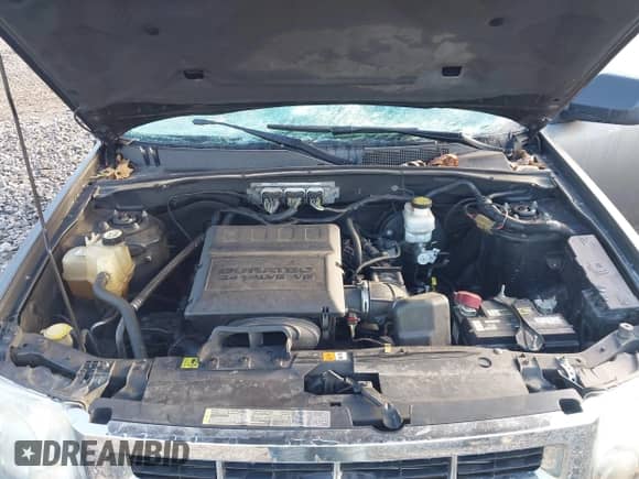 2011 Ford Escape XLT с VIN 1FMCU9DGXBKA87356, выставлен на аукционе IAAI как лот 43392718 с пробегом 200 720 миль миль и . История ставок и продаж доступна на DreamBid. Изображение 10.