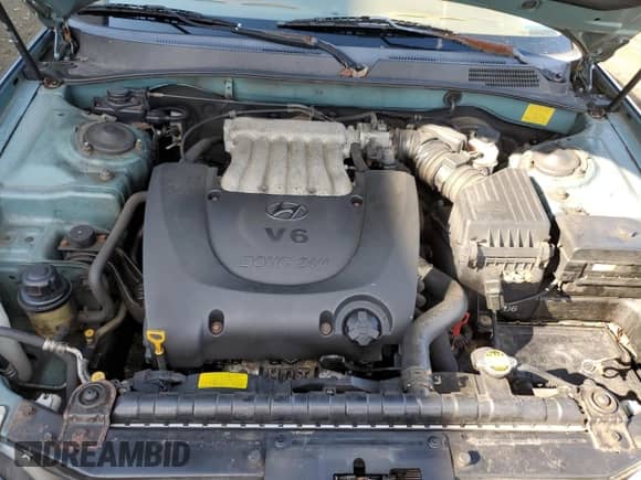 2005 Hyundai Sonata GLS with VIN KMHWF35H45A125654, listed as a Copart auction lot 81866195 with 215,568 mi miles and Salvage title. Bid and sale history available at DreamBid. Image 11.