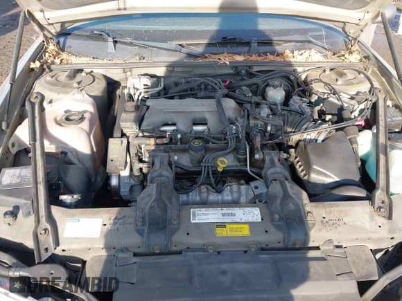1999 Chevrolet Monte Carlo LS с VIN 2G1WW12M4X9183264, выставлен на аукционе IAAI как лот 41388935 с пробегом 135 826 миль миль и . История ставок и продаж доступна на DreamBid. Изображение 10.