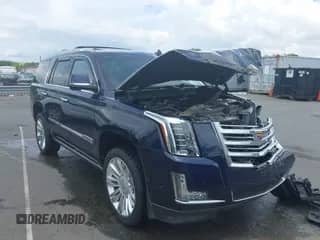 2017 Cadillac Escalade Platinum with VIN 1GYS4DKJ6HR150478, listed as a IAAI auction lot 42507917 with 123,083 mi miles and . Bid and sale history available at DreamBid. Image 1.