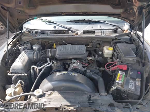 2006 Dodge Dakota SLT z VIN 1D7HE48K16S678017, wystawiony jako IAAI lot #42692954 z przebiegiem 318 113 mil mil oraz . Historia ofert i sprzedaży dostępna na DreamBid. Obrazek 10.