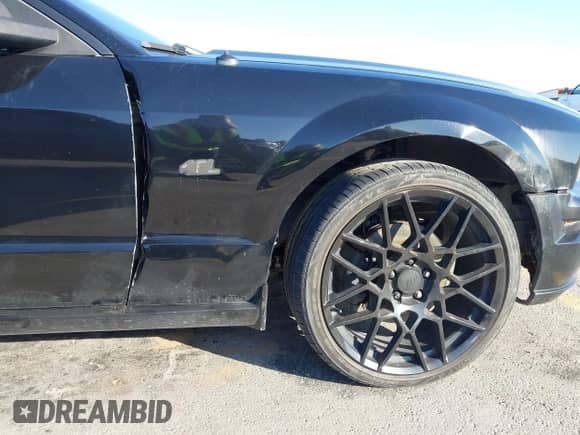 2008 Ford Mustang GT Deluxe с VIN 1ZVHT82H585185332, выставлен на аукционе IAAI как лот 43395236 с пробегом 158 639 миль миль и . История ставок и продаж доступна на DreamBid. Изображение 18.