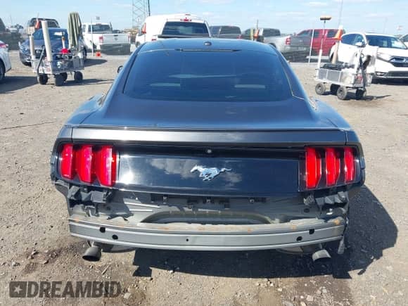 2017 Ford Mustang EcoBoost Premium с VIN 1FA6P8TH9H5205231, выставлен на аукционе IAAI как лот 43309440 с пробегом 113 890 миль миль и . История ставок и продаж доступна на DreamBid. Изображение 16.