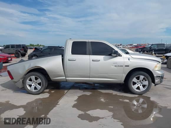 2010 Dodge 1500 SLT with VIN 1D7RB1GT2AS194789, listed as a IAAI auction lot 42480543 with 302,270 mi miles and . Bid and sale history available at DreamBid. Image 13.