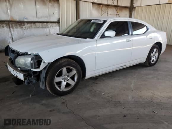 2010 Dodge Charger SXT with VIN 2B3CA3CV0AH290595, listed as a Copart auction lot 73893904 with 127,733 mi miles and Salvage title. Bid and sale history available at DreamBid. Image 1.