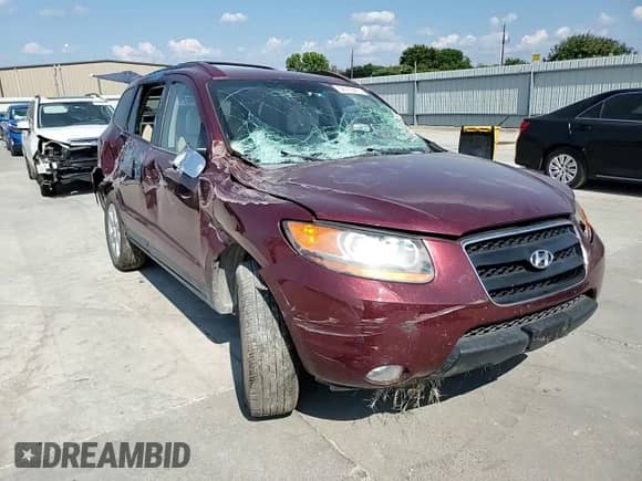 2009 Hyundai Santa Fe SE with VIN 5NMSH13E19H241528, listed as a Copart auction lot 68169415 with 195,029 mi miles and Salvage title. Bid and sale history available at DreamBid. Image 14.