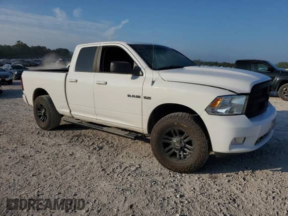 2010 Dodge 1500 Sport z VIN 1D7RV1GT0AS172393, wystawiony jako Copart lot #69839805 z przebiegiem 164 089 mil mil oraz Szkoda całkowita • Salvage title. Historia ofert i sprzedaży dostępna na DreamBid. Obrazek 4.