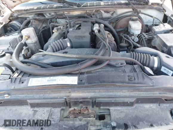 2003 Chevrolet S-10 LS с VIN 1GCCS14H138265190, выставлен на аукционе IAAI как лот 42186732 с пробегом 320 239 миль миль и . История ставок и продаж доступна на DreamBid. Изображение 10.