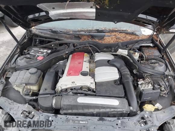 2002 Mercedes-Benz C 230/260/280/320 z VIN WDBRN47J12A358895, wystawiony jako IAAI lot #43536114 z przebiegiem 199 902 mil mil oraz . Historia ofert i sprzedaży dostępna na DreamBid. Obrazek 10.