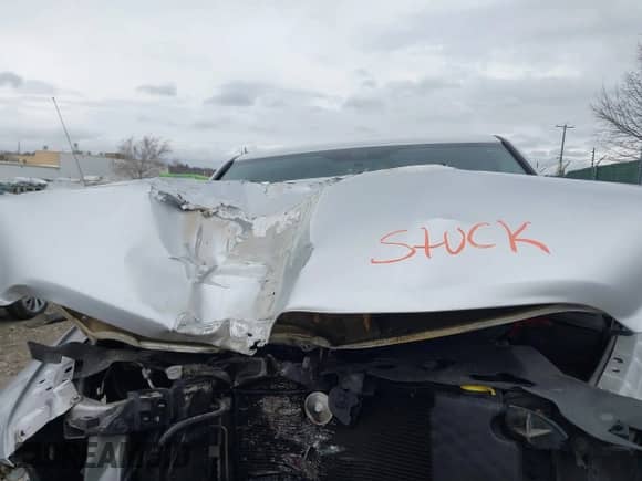 2010 Dodge 1500 SLT с VIN 1D7RV1GP0AS116554, выставлен на аукционе IAAI как лот 41707682 с пробегом Не указан миль и . История ставок и продаж доступна на DreamBid. Изображение 10.