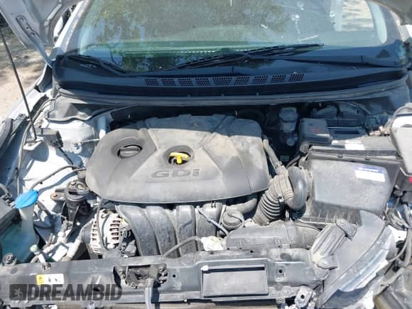 2014 Hyundai Elantra with VIN KMHDH6AH4EU024170, listed as a IAAI auction lot 42401290 with 76,459 mi miles and . Bid and sale history available at DreamBid. Image 10.