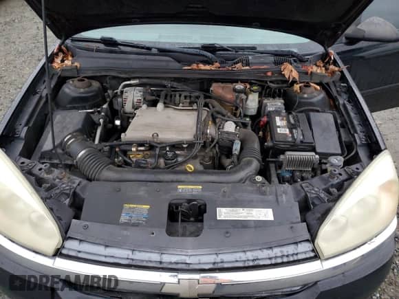 2004 Chevrolet Malibu Maxx LS с VIN 1G1ZT64834F239457, выставлен на аукционе Copart как лот 43473575 с пробегом 177 563 миль миль и Списание • Salvage title. История ставок и продаж доступна на DreamBid. Изображение 11.