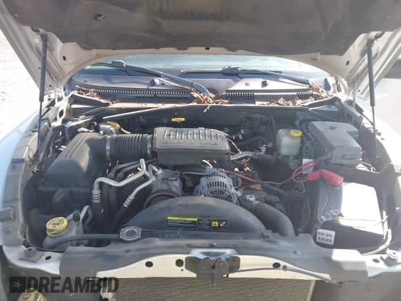 2006 Dodge Dakota SLT z VIN 1D7HW48NX6S645556, wystawiony jako IAAI lot #42597957 z przebiegiem 161 178 mil mil oraz . Historia ofert i sprzedaży dostępna na DreamBid. Obrazek 10.