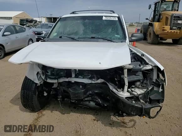 2005 Chevrolet TrailBlazer LS z VIN 1GNDT13S452238321, wystawiony jako Copart lot #70226125 z przebiegiem 179 126 mil mil oraz Szkoda całkowita • Salvage title. Historia ofert i sprzedaży dostępna na DreamBid. Obrazek 14.