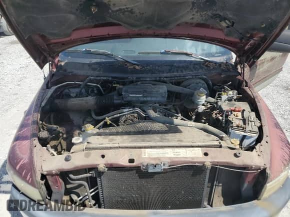 2001 Dodge 1500 z VIN 3B7HF13YX1G179069, wystawiony jako Copart lot #70559625 z przebiegiem 64 211 mil mil oraz Czysty tytuł • Clean title. Historia ofert i sprzedaży dostępna na DreamBid. Obrazek 11.