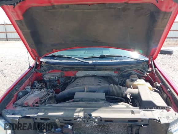 2011 Ford F-150 XLT with VIN 1FTFW1ET0BFD09808, listed as a IAAI auction lot 42694443 with 217,786 mi miles and . Bid and sale history available at DreamBid. Image 10.