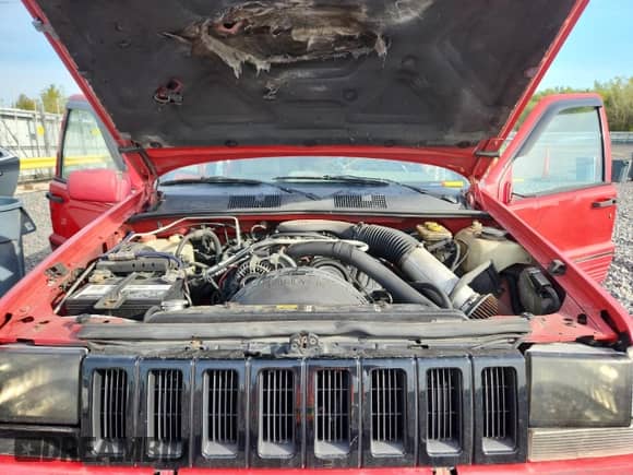 1994 Jeep Grand Cherokee Limited z VIN 1J4GZ78Y7RC139748, wystawiony jako Copart lot #82088745 z przebiegiem 240 948 mil mil oraz Szkoda całkowita • Salvage title. Historia ofert i sprzedaży dostępna na DreamBid. Obrazek 12.