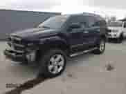 2004 Dodge Durango Limited with VIN 1D4HD58D34F230052, listed as a Copart auction lot 83030794 with 248,279 mi miles and Salvage title. Bid and sale history available at DreamBid. Image 1.
