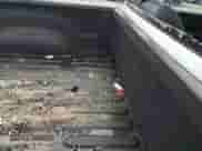 2015 Ram 1500 Express with VIN 3C6JR6AT9FG540142, listed as a Copart auction lot 84084964 with 91,498 mi miles and Salvage title. Bid and sale history available at DreamBid. Image 10.