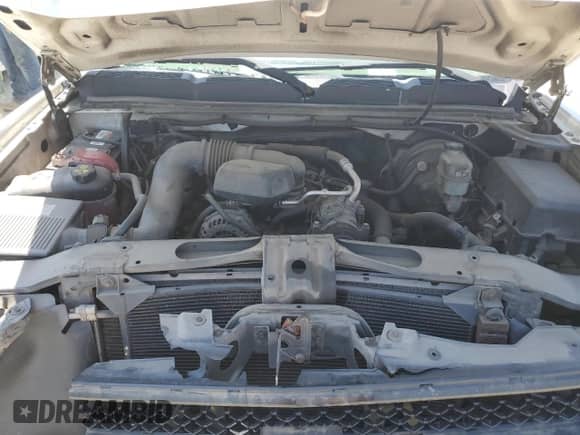 2009 Chevrolet Silverado 1500 Work Truck with VIN 1GCEC14X39Z109443, listed as a Copart auction lot 61223085 with 182,971 mi miles and Salvage title. Bid and sale history available at DreamBid. Image 11.