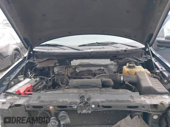 2011 Ford F-150 XL with VIN 1FTFX1EF9BFD19065, listed as a IAAI auction lot 43367893 with 131,491 mi miles and . Bid and sale history available at DreamBid. Image 10.